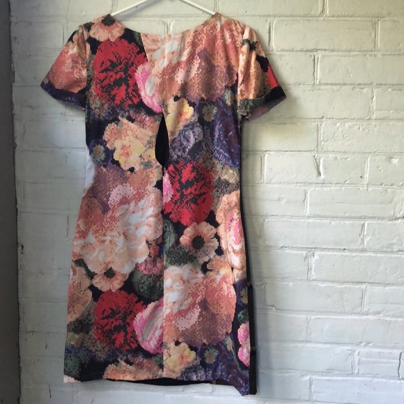 Ranna Gill Women's Fanned Vignette Shift Dress - Picture 4 of 12